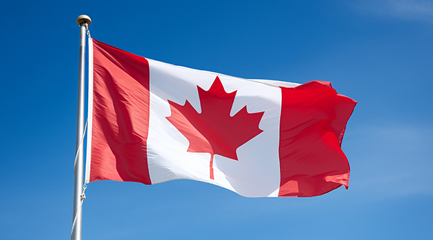 This is the image alt